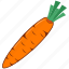 carrot, food, ingredient, vegetable 