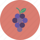 fruits, grape, grapes, veggie, violet, wine