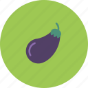 eggplant, fruits, garden, plant, veggie, violet