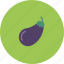 eggplant, fruits, garden, plant, veggie, violet 