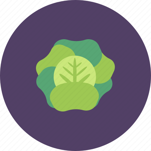 Fruits, green, leaf, lettuce, salad, veggie icon - Download on Iconfinder