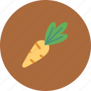 carrot, fresh, fruits, healthy, vegetarian, veggie