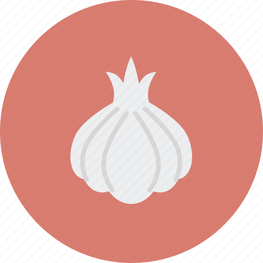Fruits, garlic, onion, organic, vegetable, veggie icon - Download on Iconfinder