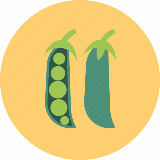 Broad bean, fruits, green, nature, plant, veggie icon - Download on Iconfinder