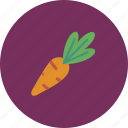 carrot, fruits, organic, vegan, vegetable, vegetarian, veggie