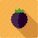 berry, blackberry, brambleberry, food, fruit