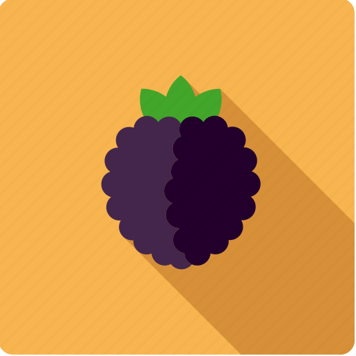 Berry, blackberry, brambleberry, food, fruit icon - Download on Iconfinder
