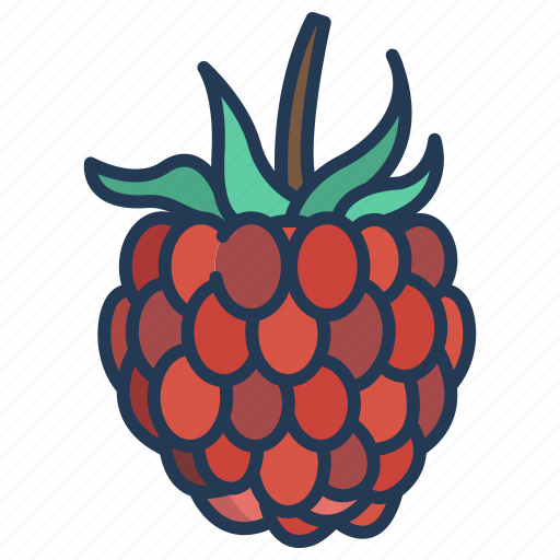 Raspberry icon - Download on Iconfinder on Iconfinder