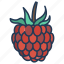 raspberry 