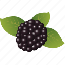 blackberry, dessert, diet, eco, food, fresh, fruit, healthy, juice, nutritio, sweet, vegetarian
