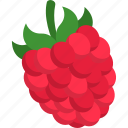 raspberry, rasberries, fruit, food, healthy