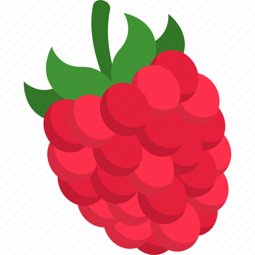 Raspberry, rasberries, fruit, food, healthy icon - Download on Iconfinder