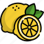 lemon, fruit, food, healthy, healthy fruit 