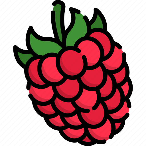 Raspberry, fruit, food, healthy, healthy fruit icon - Download on Iconfinder