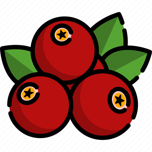 Cranberry, fruit, food, healthy, healthy fruit icon - Download on Iconfinder