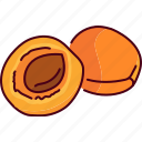 half, apricot, fruit