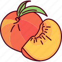 half, peach, fruit