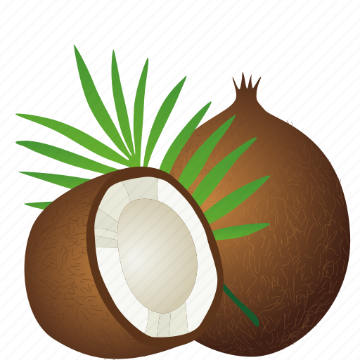 Coconut, dessert, diet, eco, food, fresh, fruit icon - Download on Iconfinder