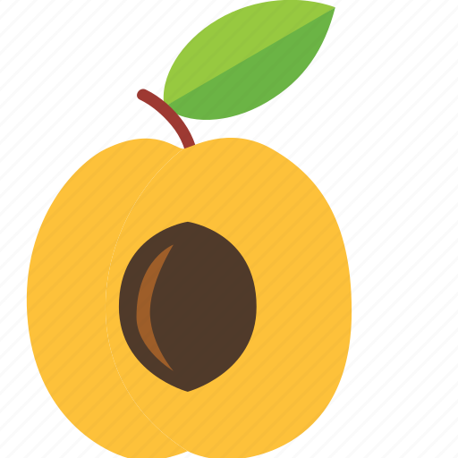 Apricot, dessert, diet, eco, food, fresh, fruit icon - Download on Iconfinder