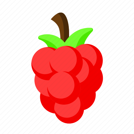 Raspberry, organic, fruit, berry, berries icon - Download on Iconfinder