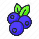 blueberries, sweet, fruit, berries, berry, blueberry