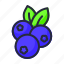 blueberries, sweet, fruit, berries, berry, blueberry 