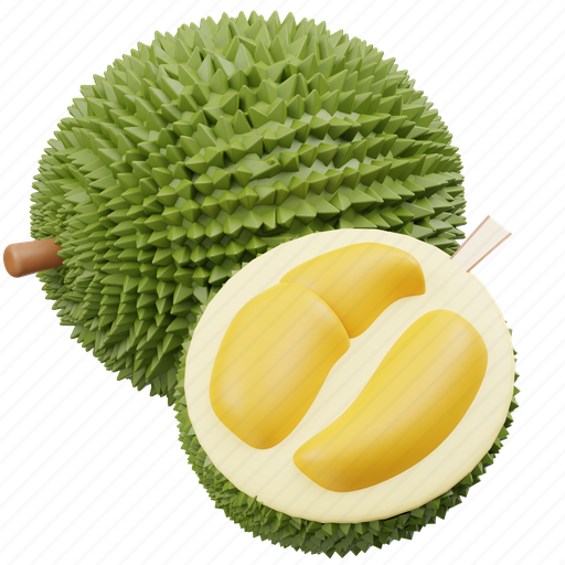 Durian, diet, sweet, healthy food, fruit, organic, healthy 3D illustration - Download on Iconfinder