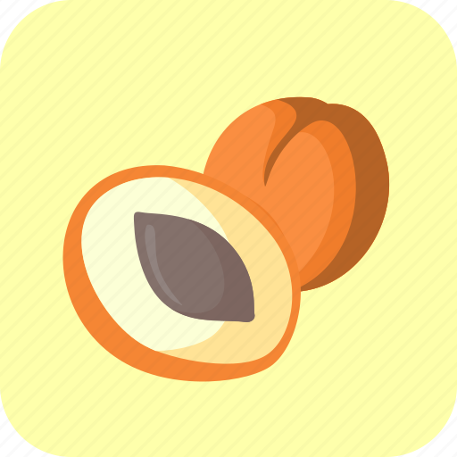 Apricots, food, fruit, half, piece icon - Download on Iconfinder