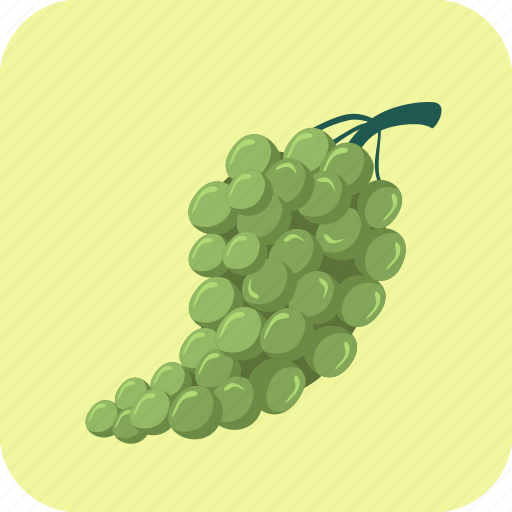 Bunch, food, fruit, grapes, green icon - Download on Iconfinder