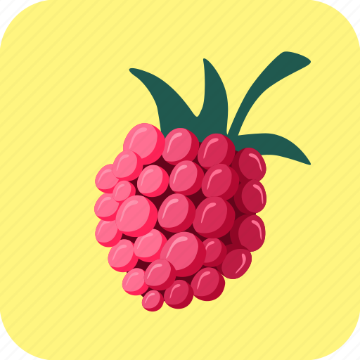 Berry, food, fruit, raspberry icon - Download on Iconfinder