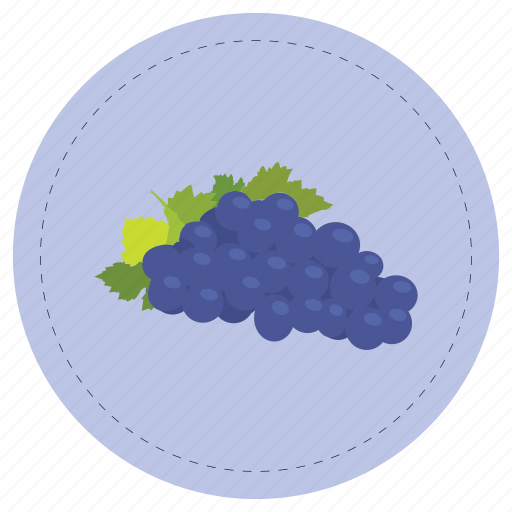 Fruit, grape, purple, uva icon - Download on Iconfinder