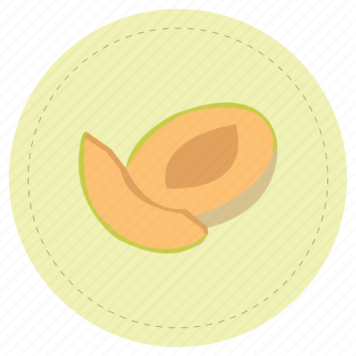 Fruit, melon, orange icon - Download on Iconfinder