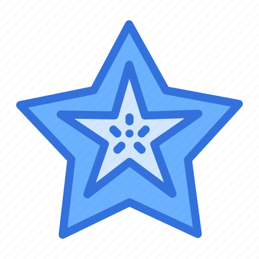 Fruit, starfruit icon - Download on Iconfinder on Iconfinder