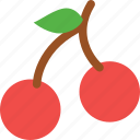 agriculture, cherry, fruit
