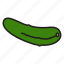 cucumber 