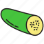 cucumber, slice 