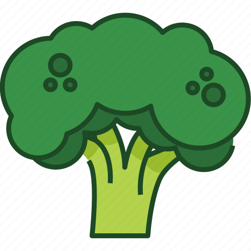 Broccoli, vegetable, food, healthy, nature, organic, plant icon - Download on Iconfinder