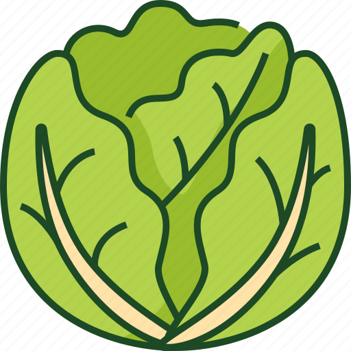 Cabbage, vegetable, food, healthy, organic, plant, diet icon - Download on Iconfinder