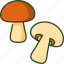 mushroom, food, vegetable, healthy, nature, organic, fungi 