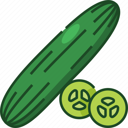 Cucumber, vegetable, food, healthy, organic, nature, meal icon - Download on Iconfinder