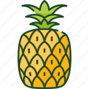 pineapple, fruit, healthy, food, fresh, organic, tasty