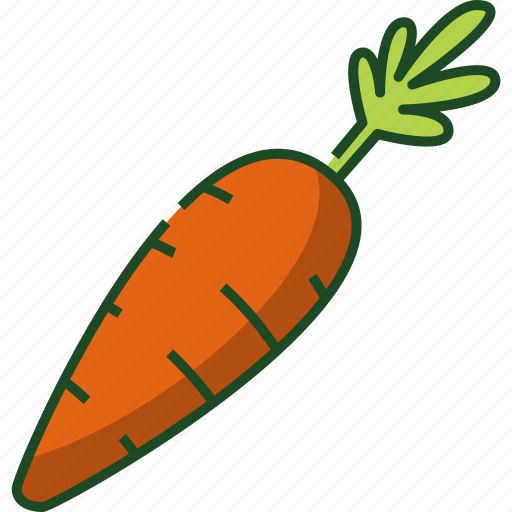 Carrot, vegetable, food, healthy, organic, plant, nature icon - Download on Iconfinder