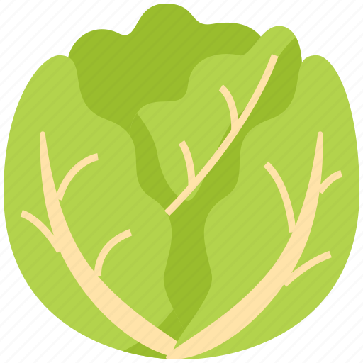 Cabbage, vegetable, food, healthy, organic, plant, diet icon - Download on Iconfinder