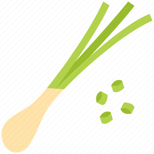 Spring, onion, spring onion, vegetable, cauliflower, healthy, organic icon - Download on Iconfinder