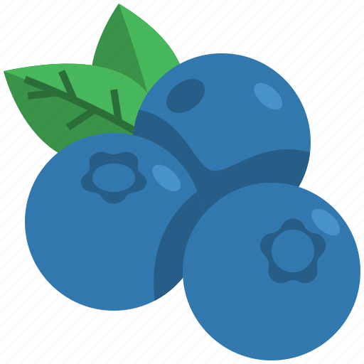 Blueberry, fruit, healthy, dessert, beverage, nature, juice icon - Download on Iconfinder