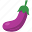 eggplant, vegetable, food, fruit, healthy, organic, fresh 