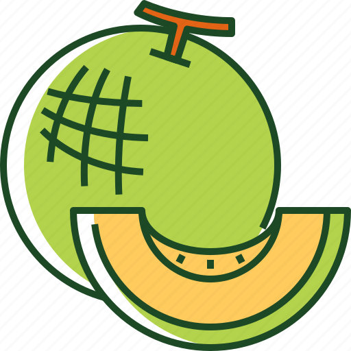 Melon, fruit, food, healthy, cantaloupe, honeydew, organic icon - Download on Iconfinder