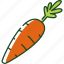 carrot, vegetable, food, healthy, organic, plant, nature 