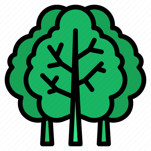 Kale, vegetable, food, healthy, organic icon - Download on Iconfinder