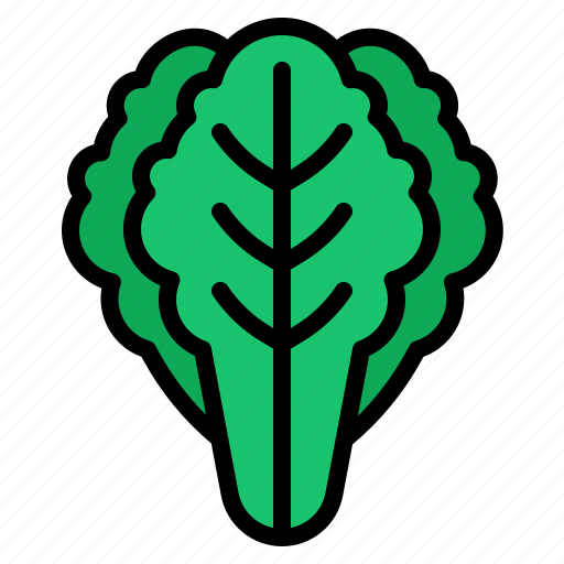 Lettuce, vegetable, food, healthy, organic icon - Download on Iconfinder